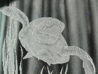 Carved and Etched Glass Artwork